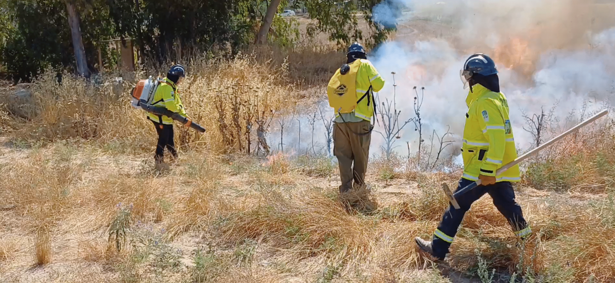 Screen Shot 2025-05-31 at 12.29.56